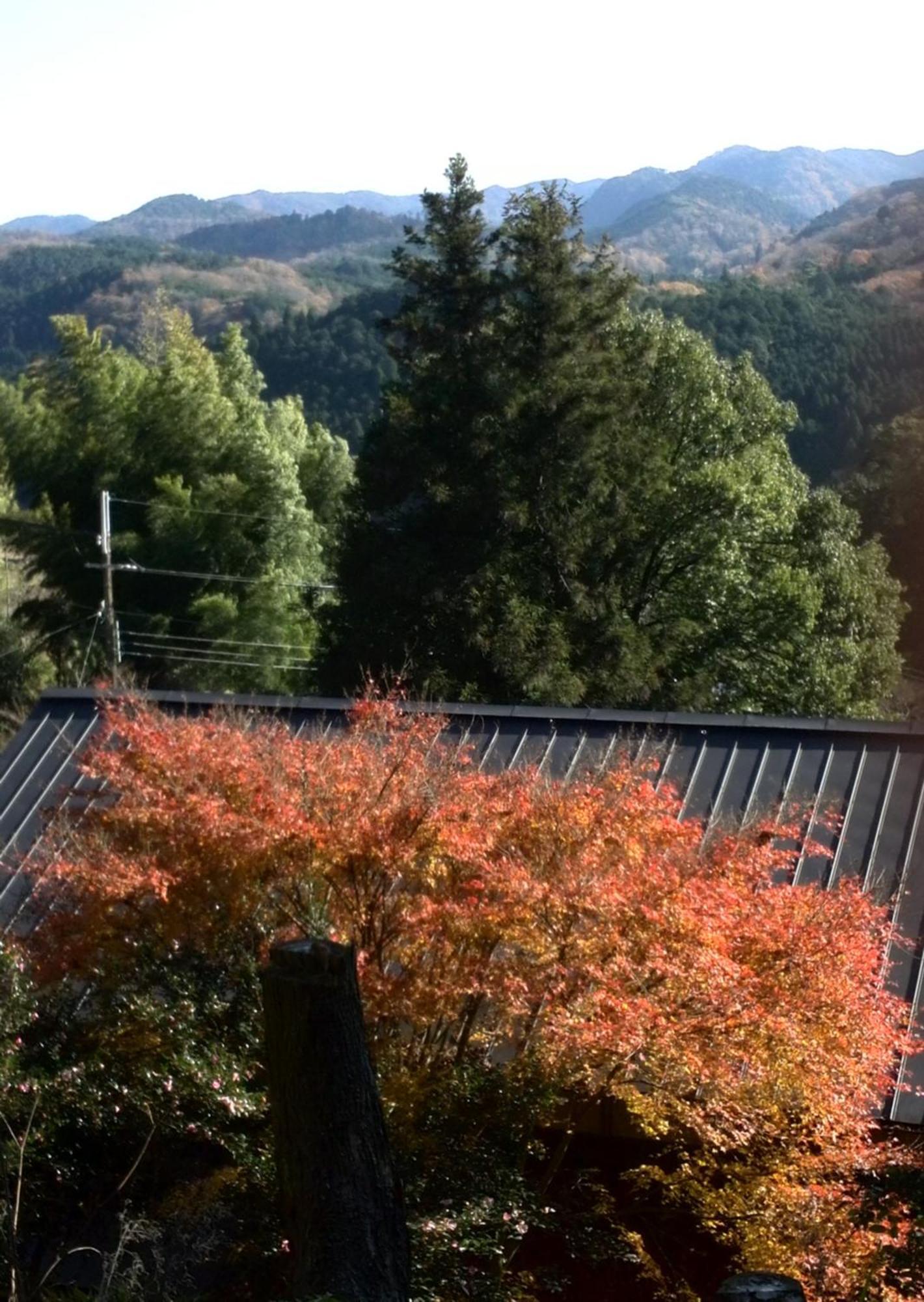 Kamakurayama Farm - B&B Satoyama Uda Bagian luar foto